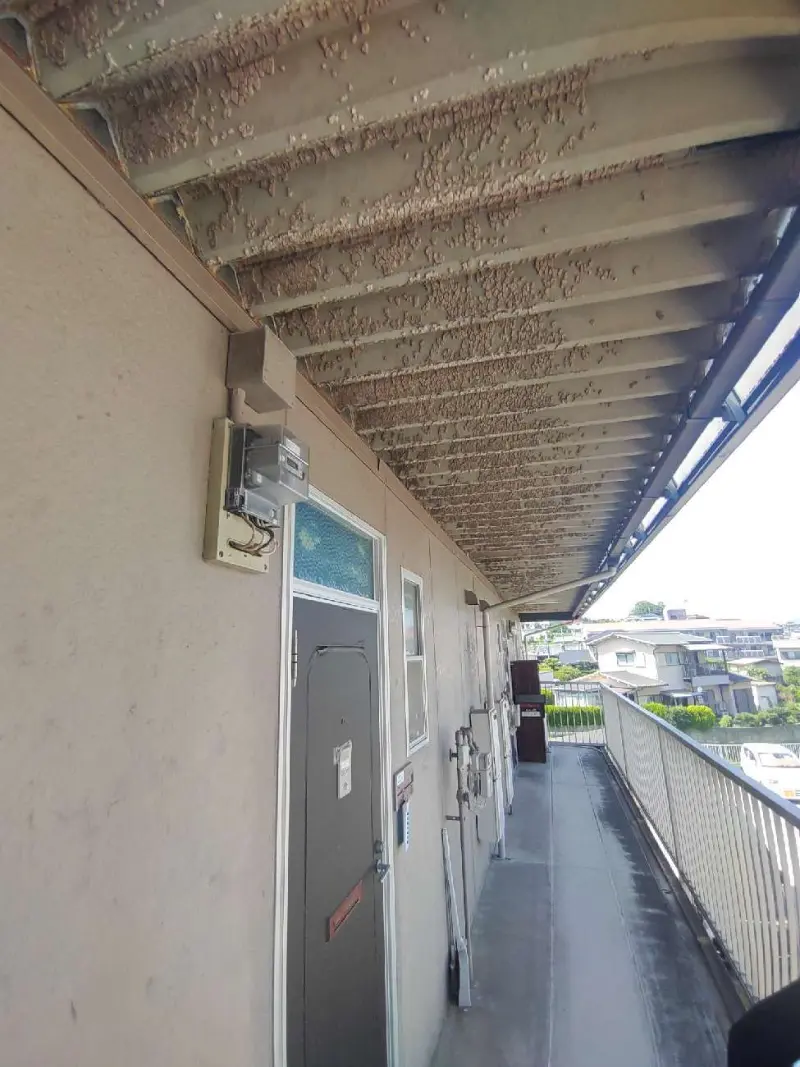 奈良県北葛城郡のアパートの外壁塗装、屋根塗装工事の施工事例の画像